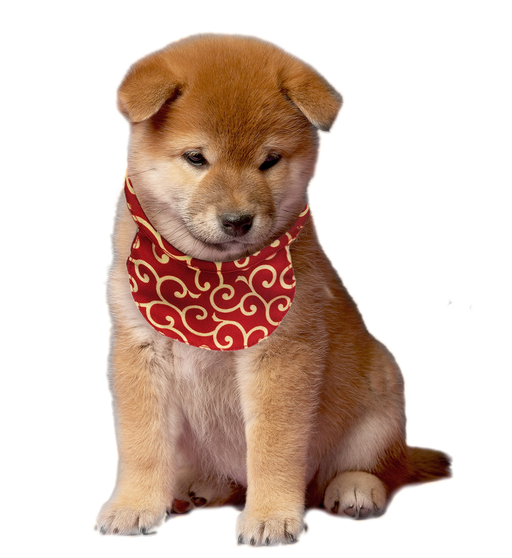 Kawaii Shiba Inu Co. Karakusa Scarf/Bandana for Puppies/Small Dogs