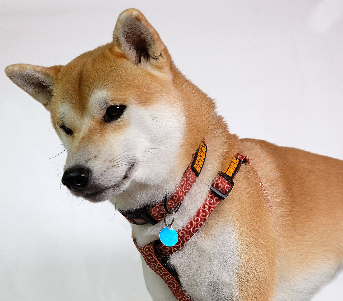 Kawaii Shiba Co. Karakusa Style Neoprene Collar Adjustable
