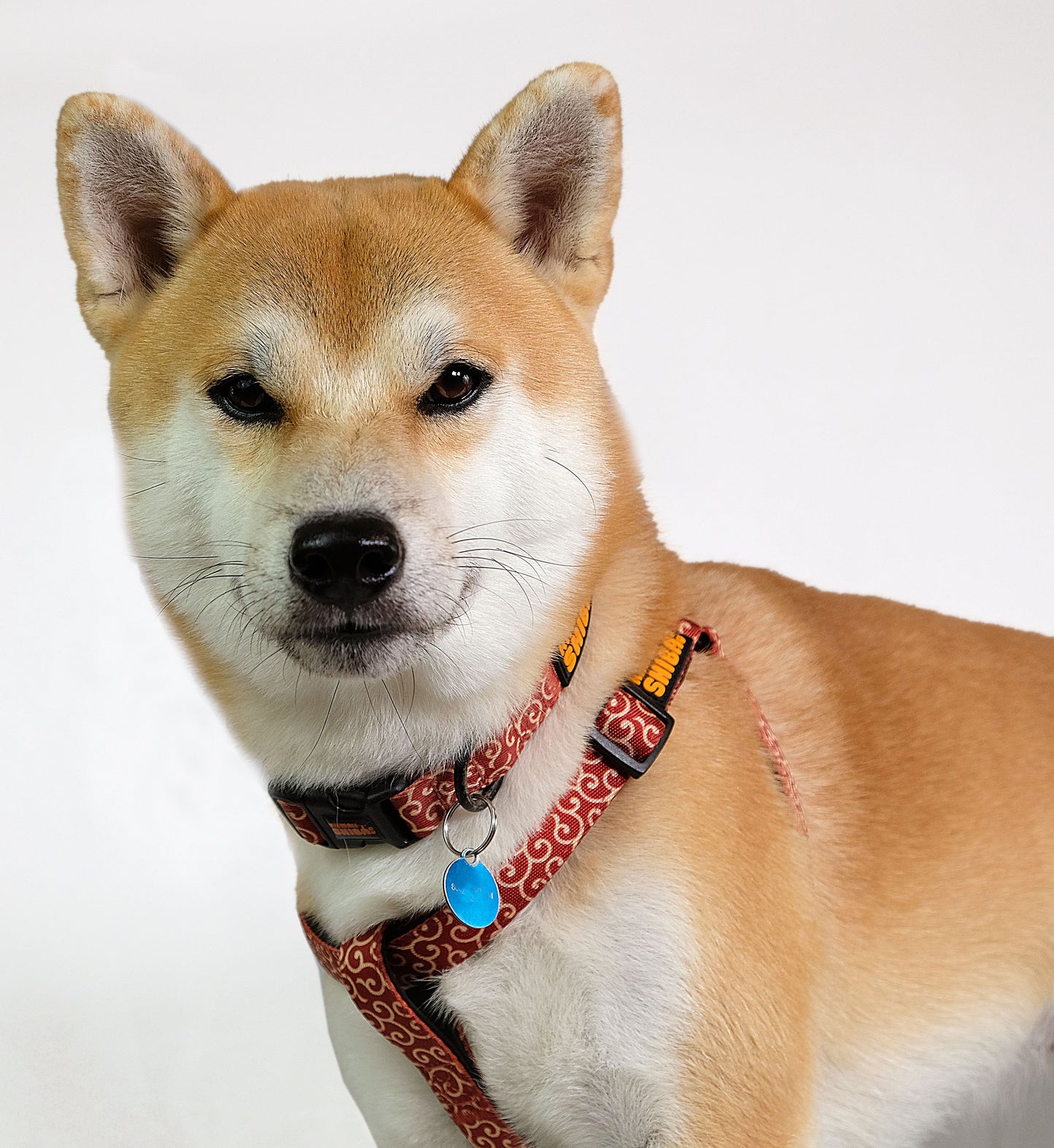 Karakusa Bundle - Limited Time ONLY - Harness, Collar, Leash Plus Freebies