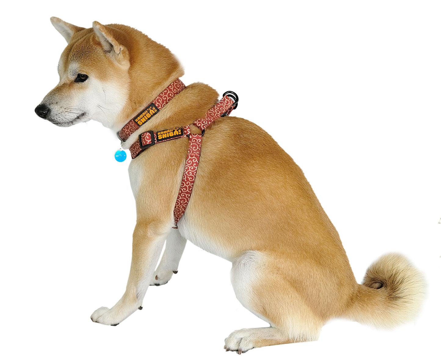 Kawaii Shiba Co. Karakusa Adjustable Y-Harness