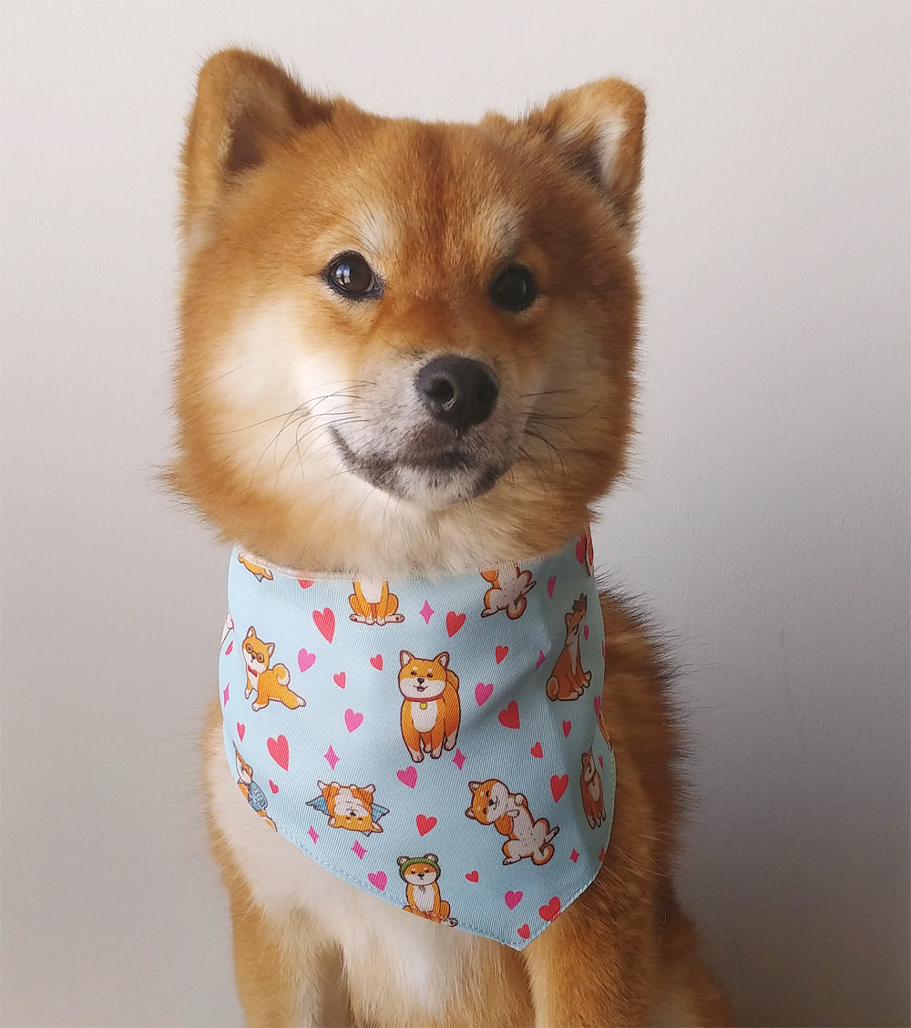 Kawaii Shiba Co. Shiba Inu REVERSIBLE Dog Bandana