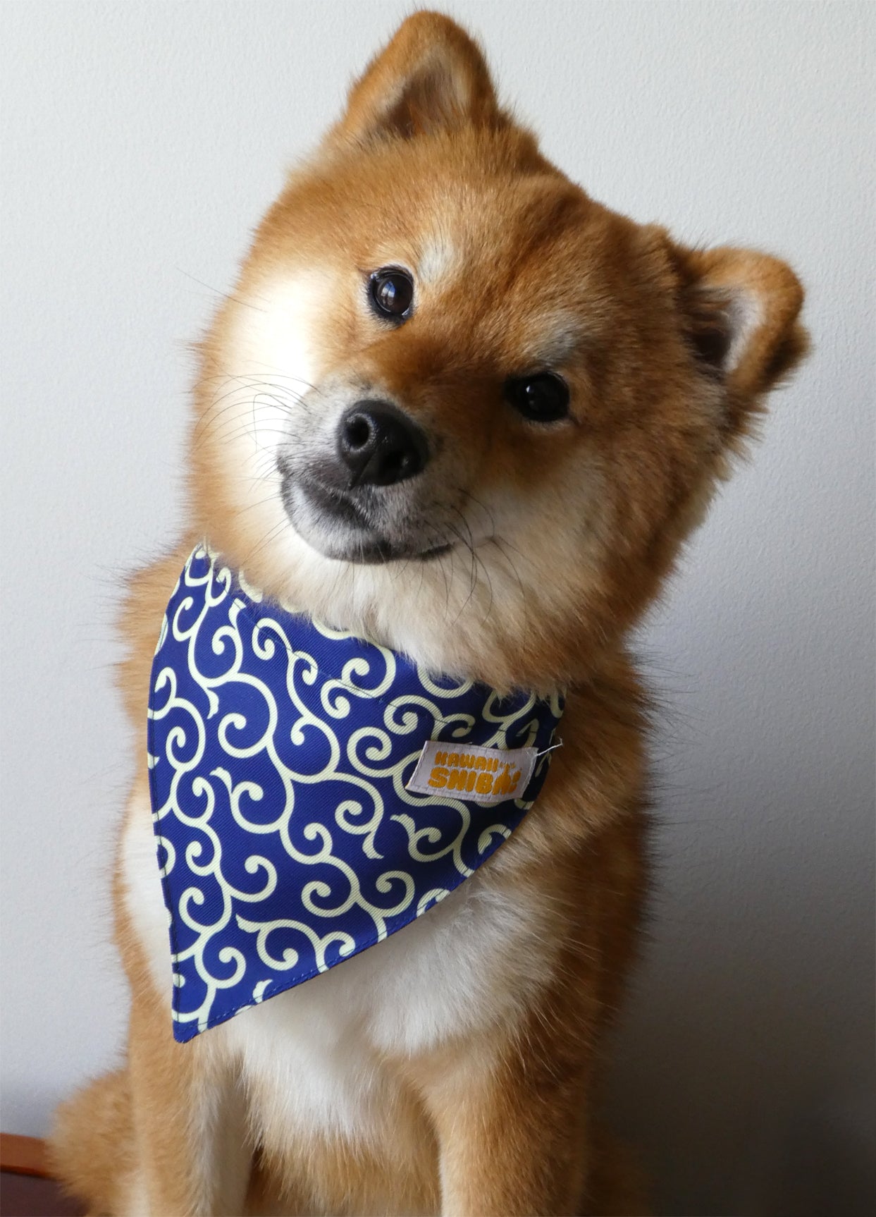 Kawaii Shiba Co. Karakusa Japanese Shiba Inu Dog Bandana with Adjustable Collar - RED
