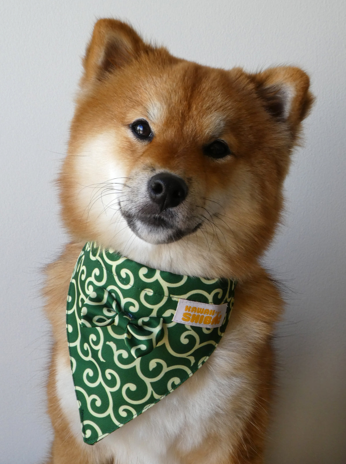Kawaii Shiba Co. Karakusa Japanese Shiba Inu Dog Bandana with Adjustable Collar - RED