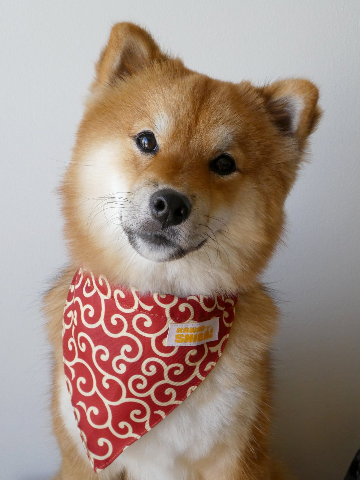 Kawaii Shiba Co. Karakusa Japanese Shiba Inu Dog Bandana with Adjustable Collar - RED
