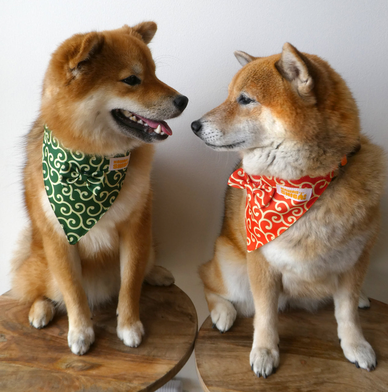 Kawaii Shiba Co. Karakusa Japanese Shiba Inu Dog Bandana with Adjustable Collar - RED