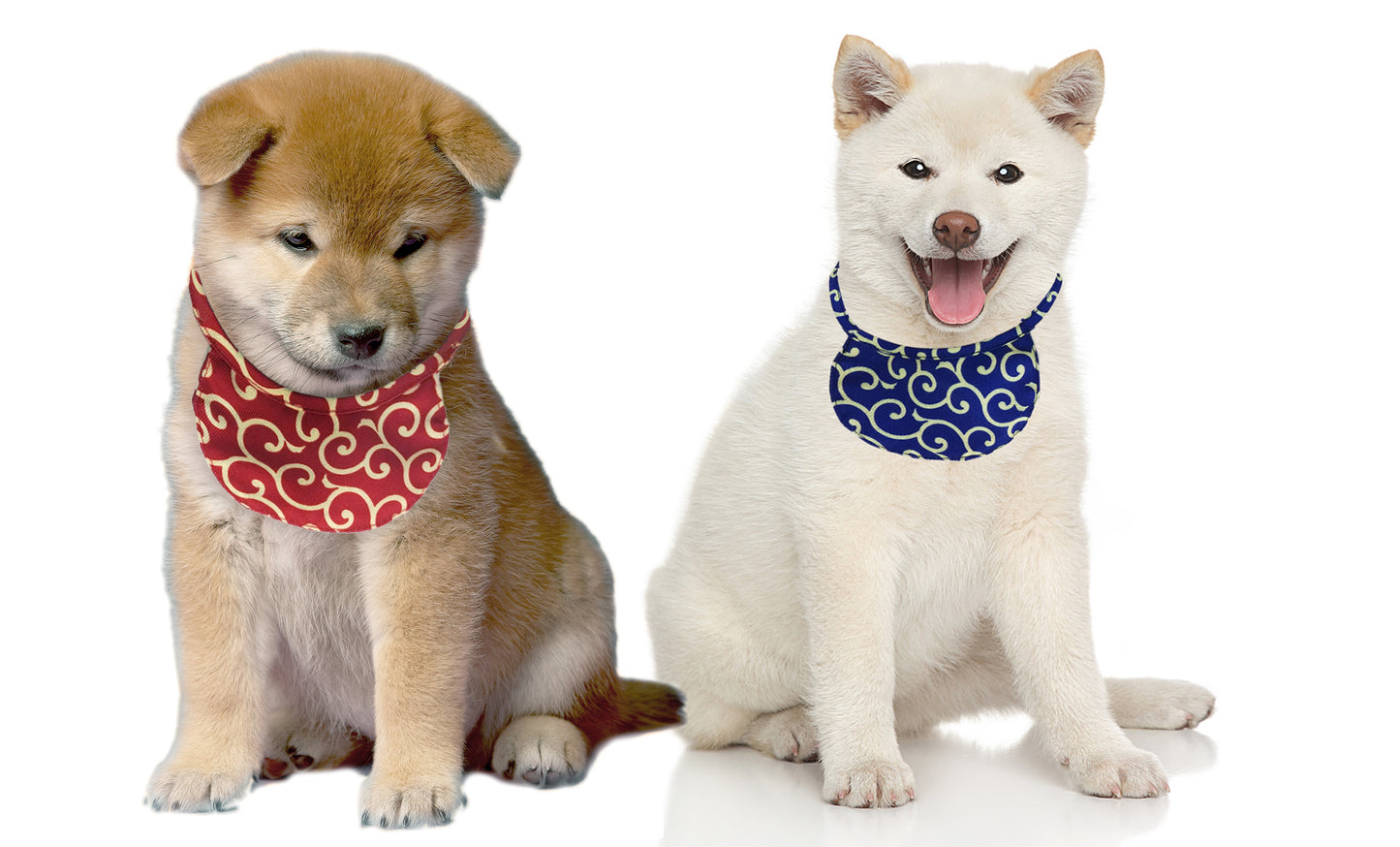 Kawaii Shiba Inu Co. Karakusa Scarf/Bandana for Puppies/Small Dogs