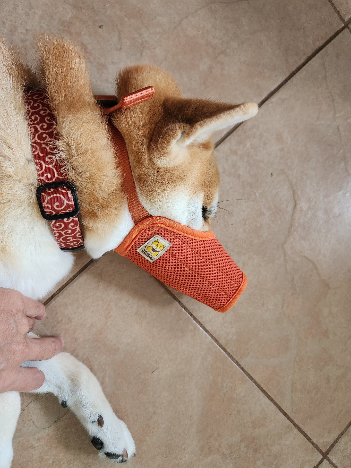 Kawaii Shiba Co. Dog Muzzle for Shiba Inu, Easy-Fit Fabric Design