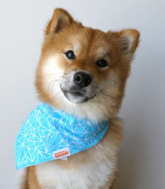 Kawaii Shiba Inu Dog Bandanas/Bibs - Dog Scarf Four Pack