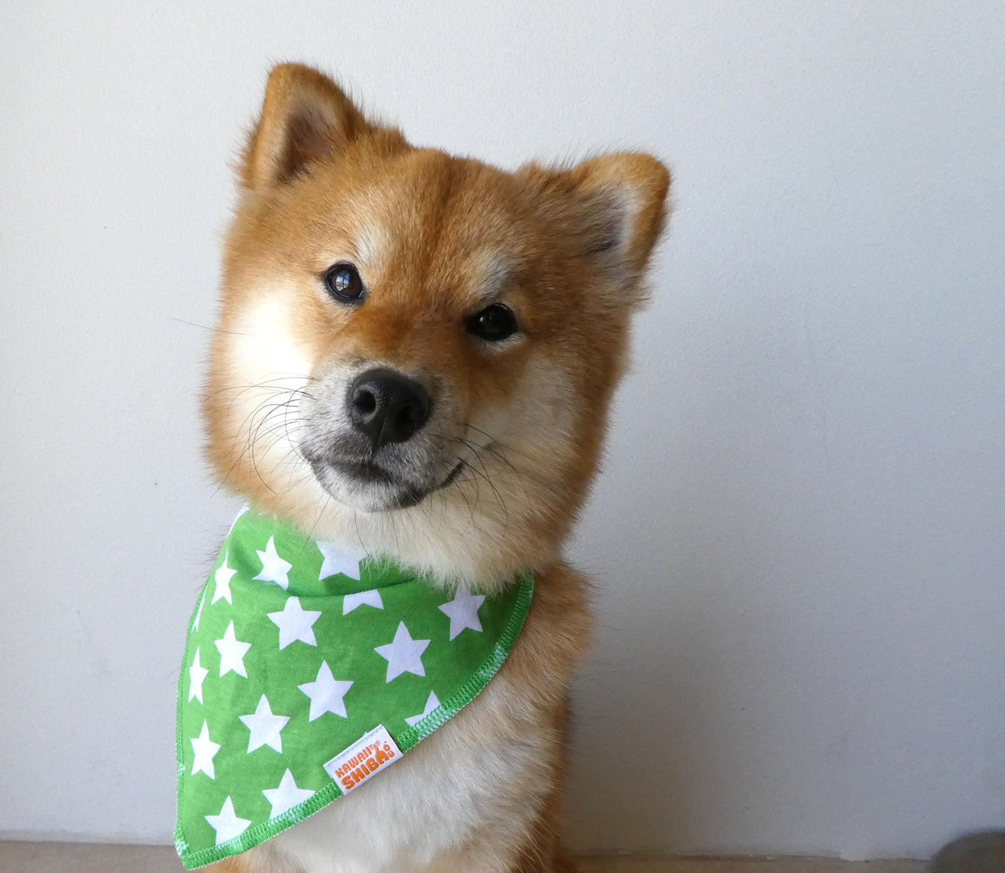 Kawaii Shiba Inu Dog Bandanas/Bibs - Dog Scarf Four Pack